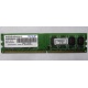 Модуль оперативной памяти 4Gb DDR2 Patriot PSD24G8002 pc-6400 (800MHz)  (Самара)