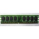Модуль оперативной памяти 4096Mb DDR2 Patriot PSD24G8002 pc-6400 (800MHz)  (Самара)