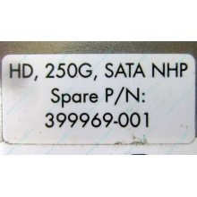 HP 250G 7.2k 432337-001/ 399699-001 / 397377-004 SATA HDD (Самара)