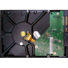 Б/У жёсткий диск 1Tb Western Digital WD10EVVS Green (WD AV-GP 1000 GB) 5400 rpm SATA (Самара)