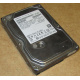 HDD 500Gb Hitachi HDS721050DLE630 донор на запчасти (Самара)