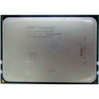 AMD Opteron 6128 OS6128WKT8EGO (Самара)