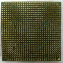 Процессор AMD Sempron 3000+ (1.6GHz) SDA3000IAA3CN s.AM2 (Самара)